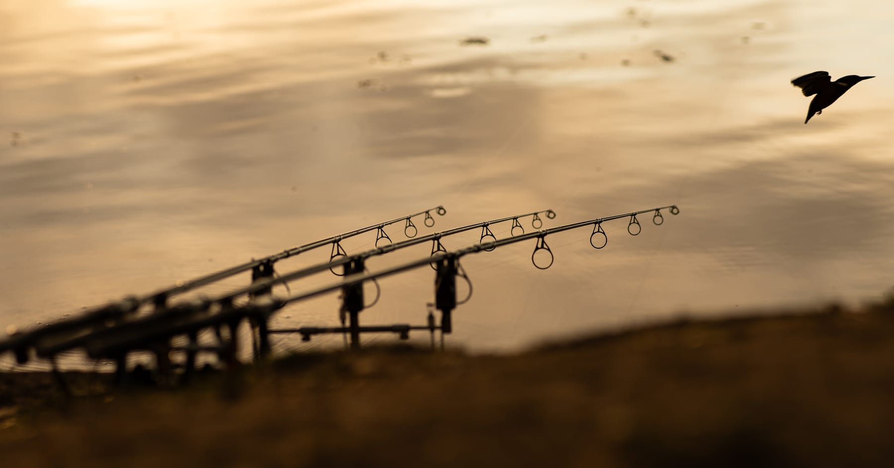 Angling photography by Gregory Waite