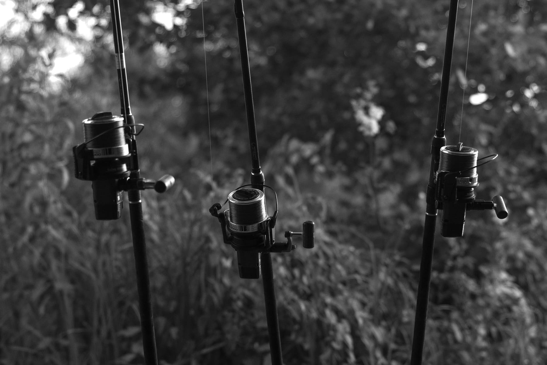 Angling photography by Gregory Waite