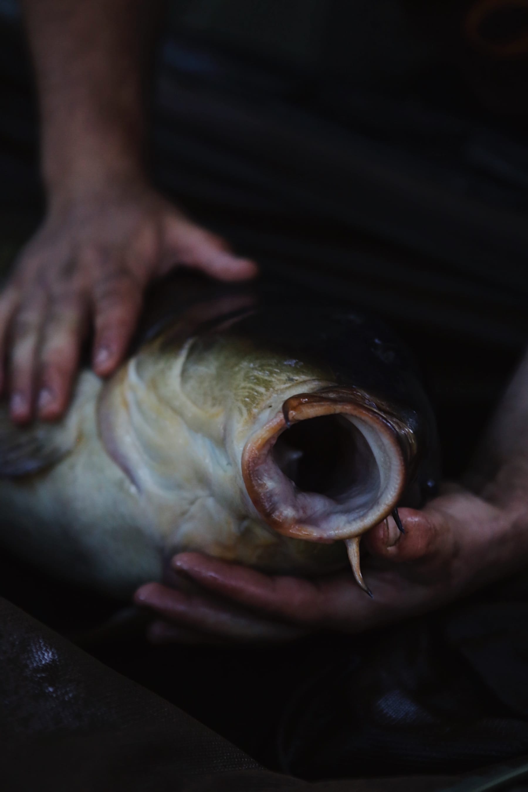 Angling photography by Gregory Waite