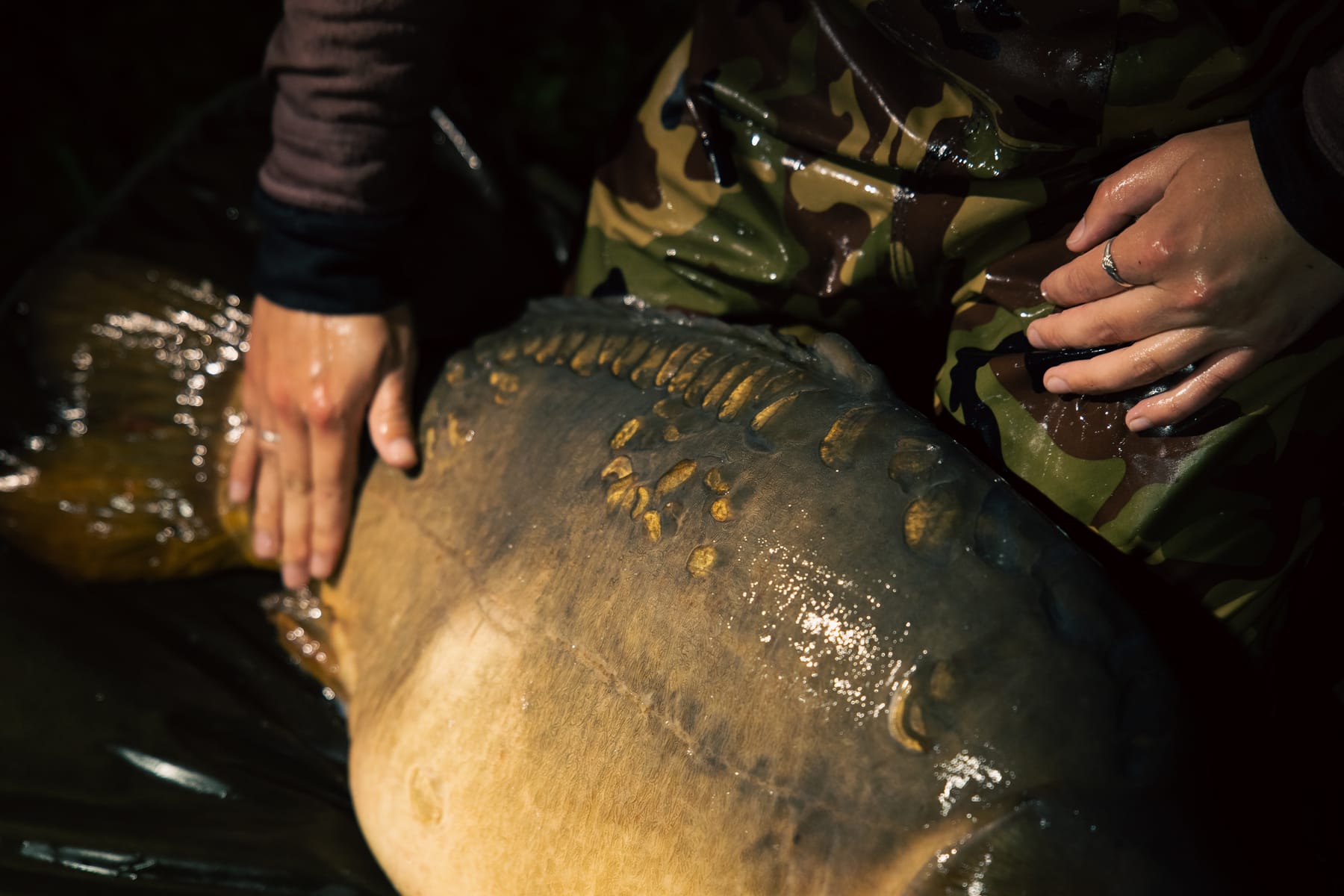 Angling photography by Gregory Waite