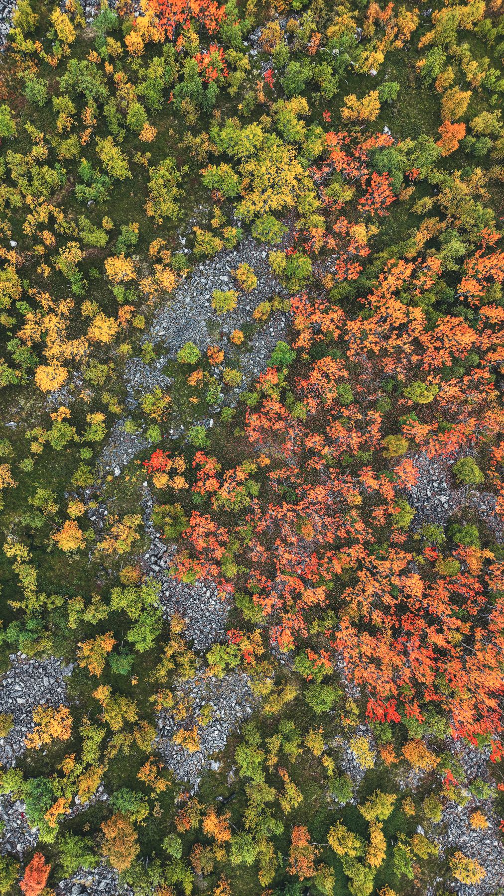 Drone photography by Gregory Waite