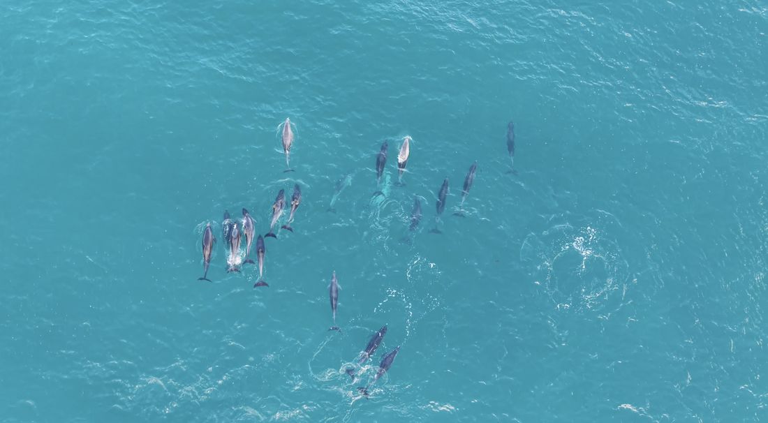Drone photography by Gregory Waite