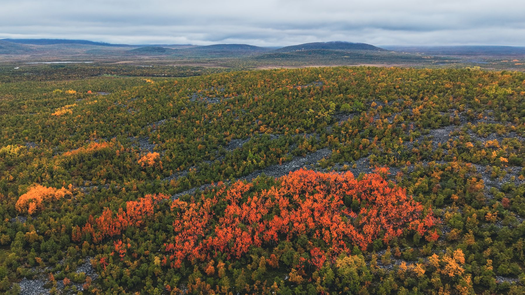 Drone photography by Gregory Waite