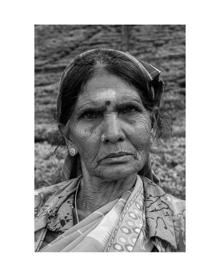 Portrait of a tea picker in the fields