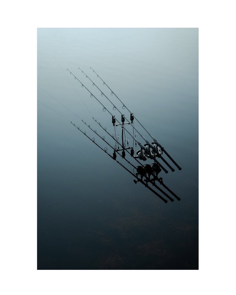 Three carp rods set over flat water at first light