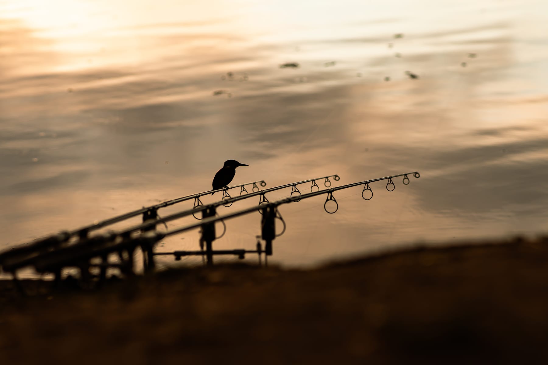 Angling