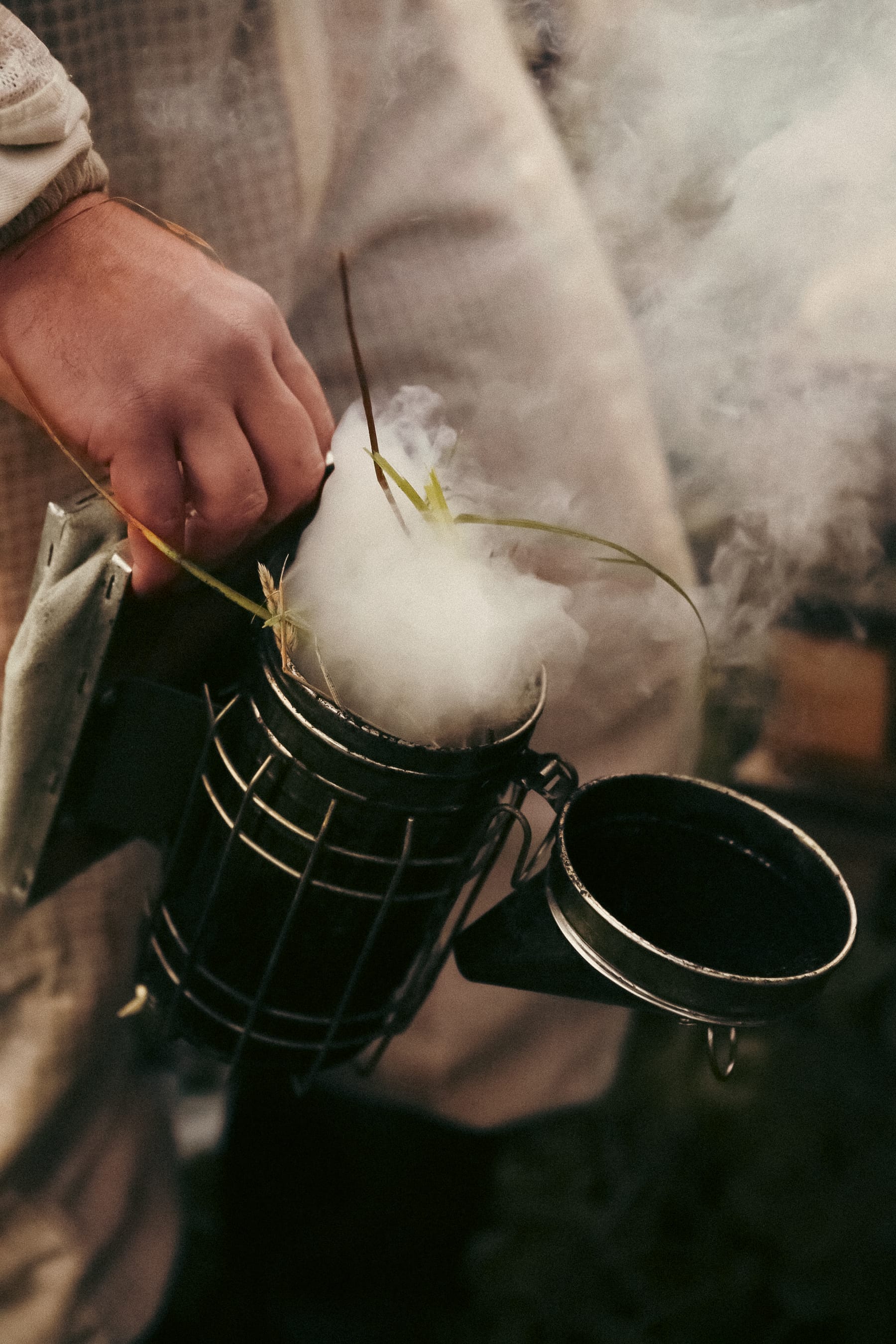 Dower House Honey project, photographed by Gregory Waite
