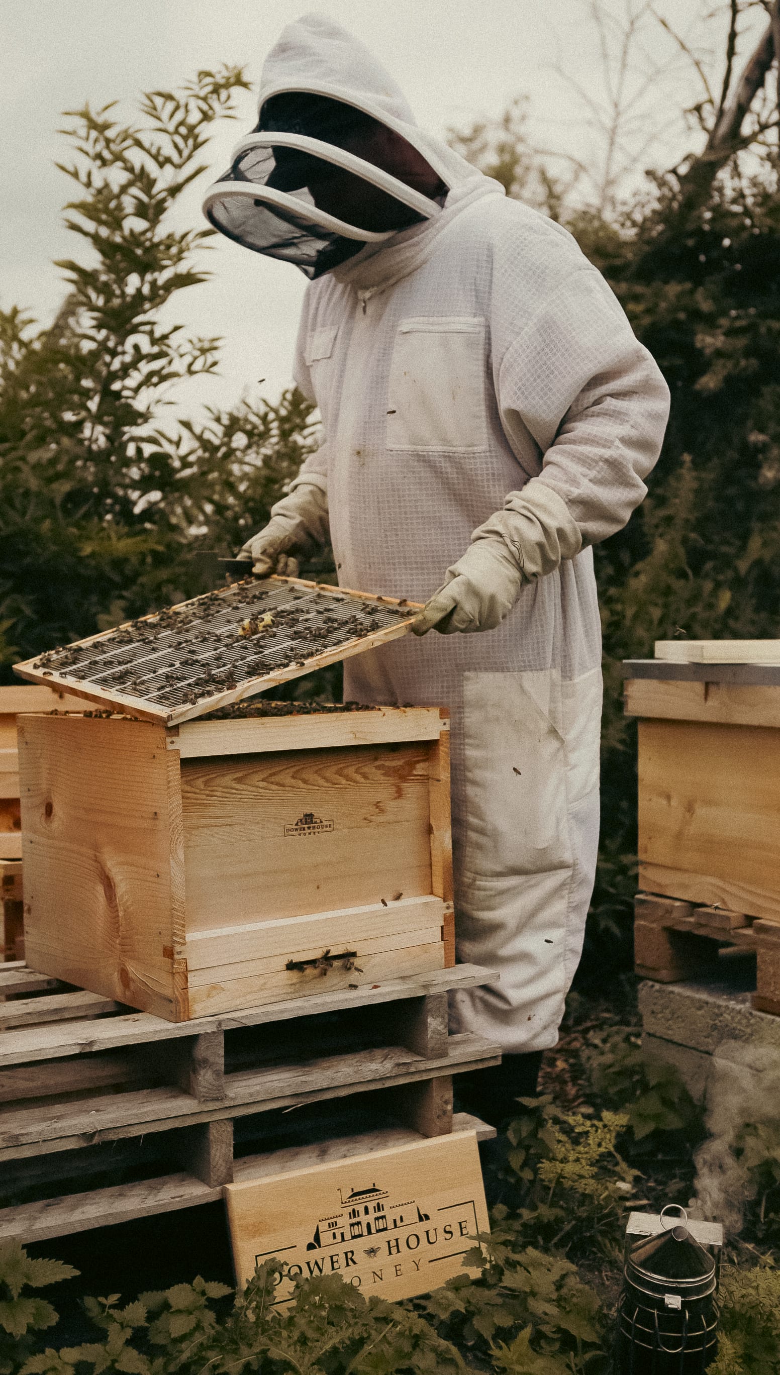 Dower House Honey project, photographed by Gregory Waite