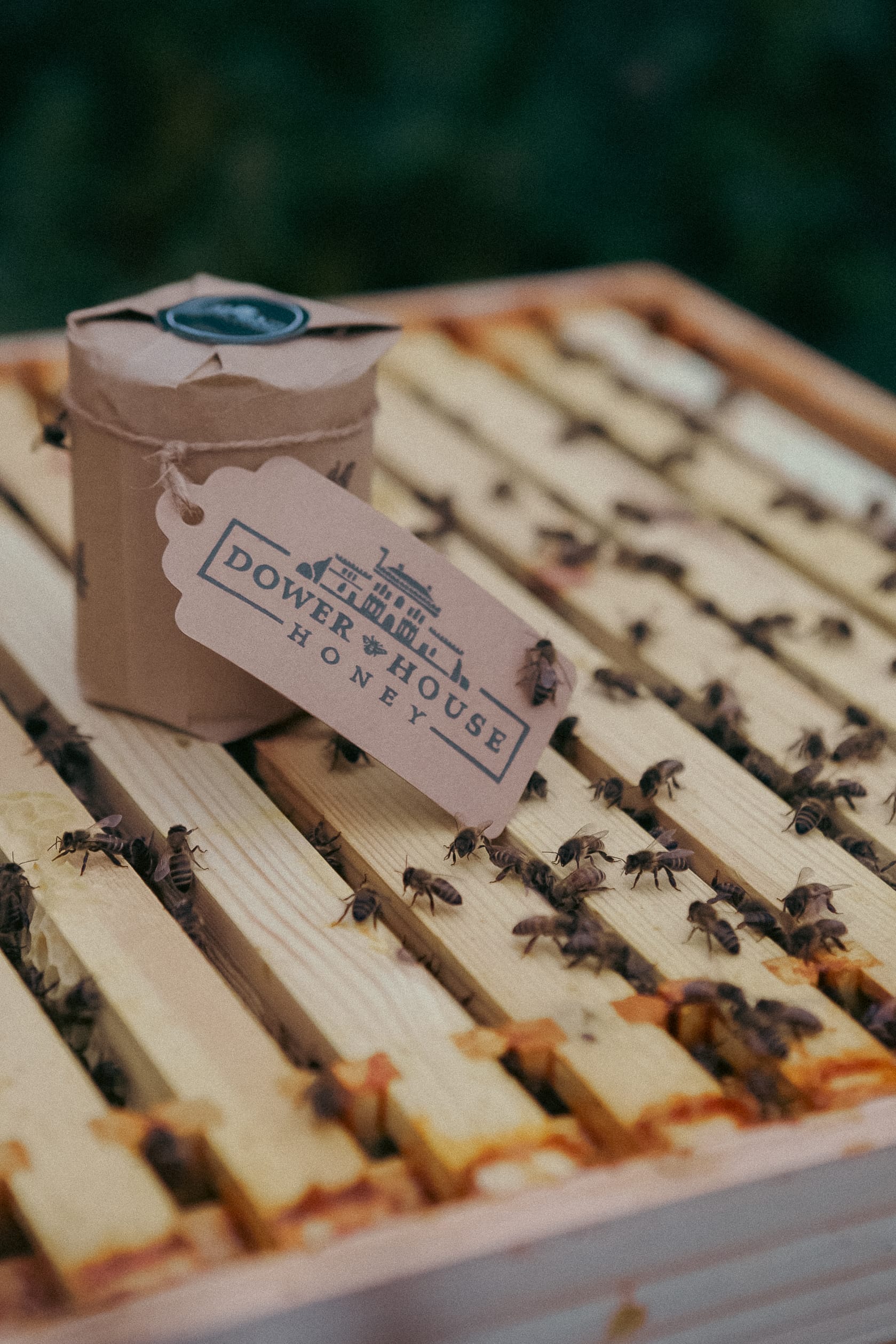Dower House Honey project, photographed by Gregory Waite