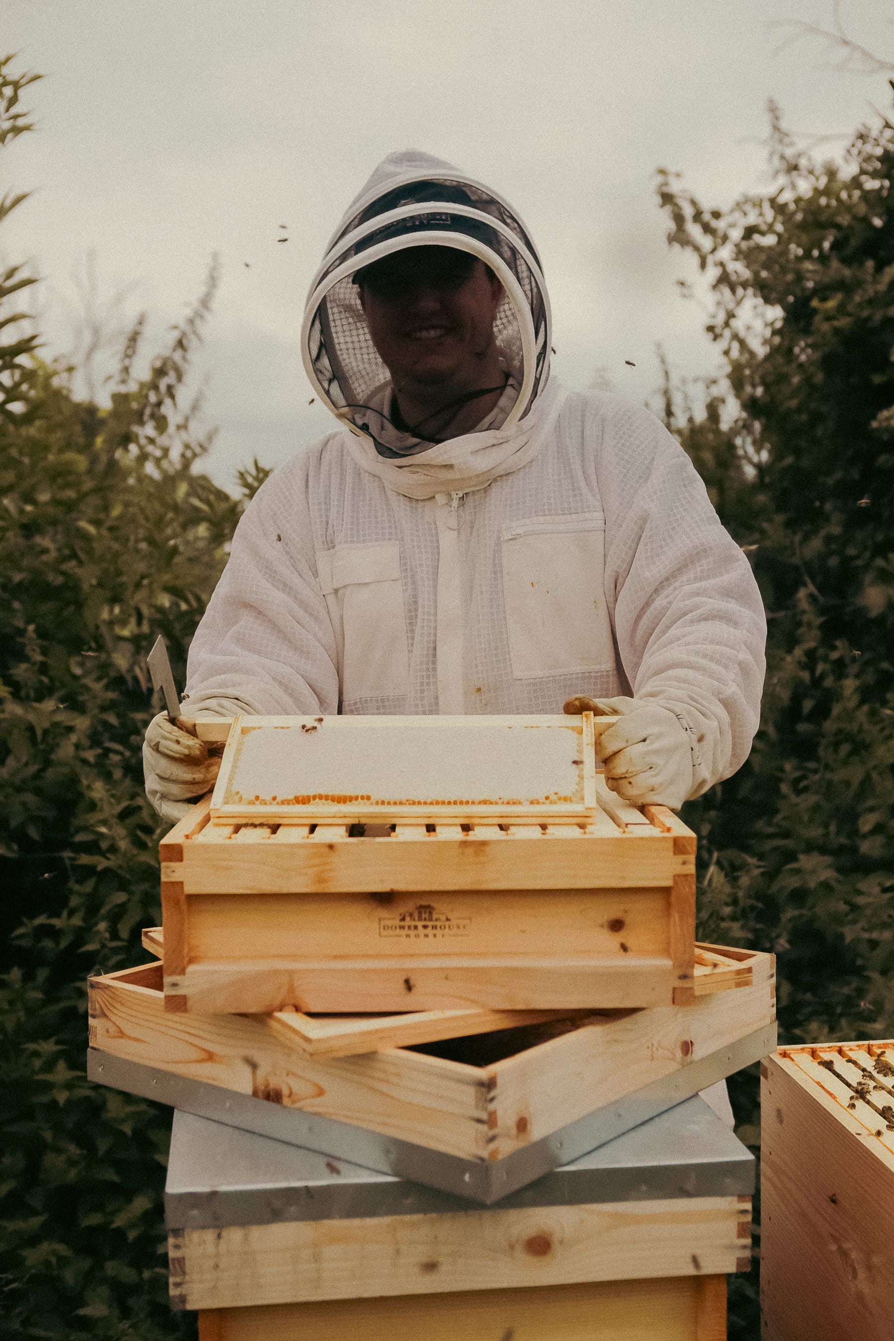 Dower House Honey project, photographed by Gregory Waite