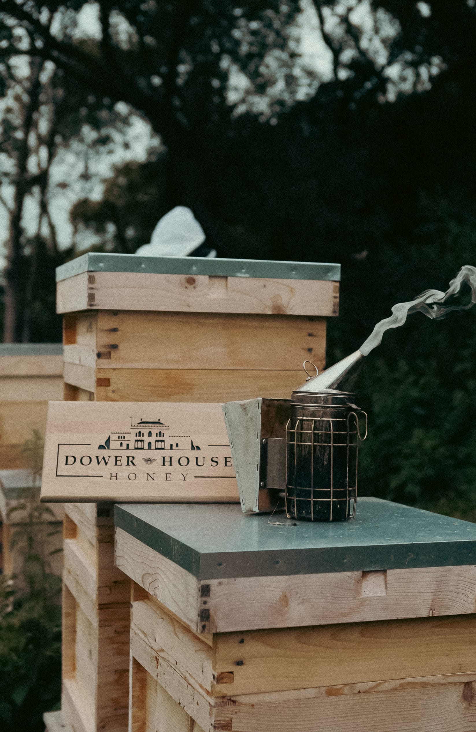 Dower House Honey project, photographed by Gregory Waite