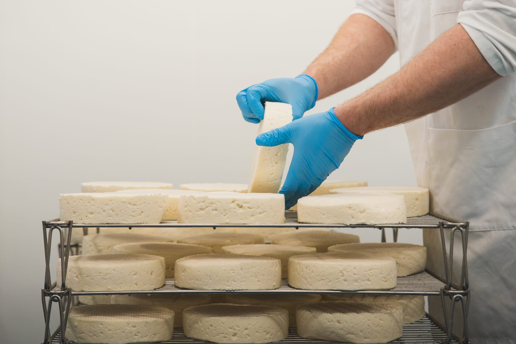 Village Maid Cheese project, photographed by Gregory Waite