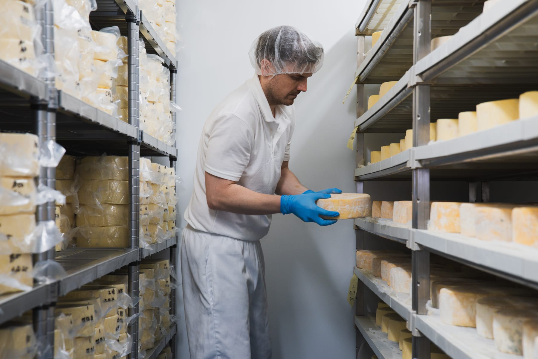Village Maid Cheese project, photographed by Gregory Waite