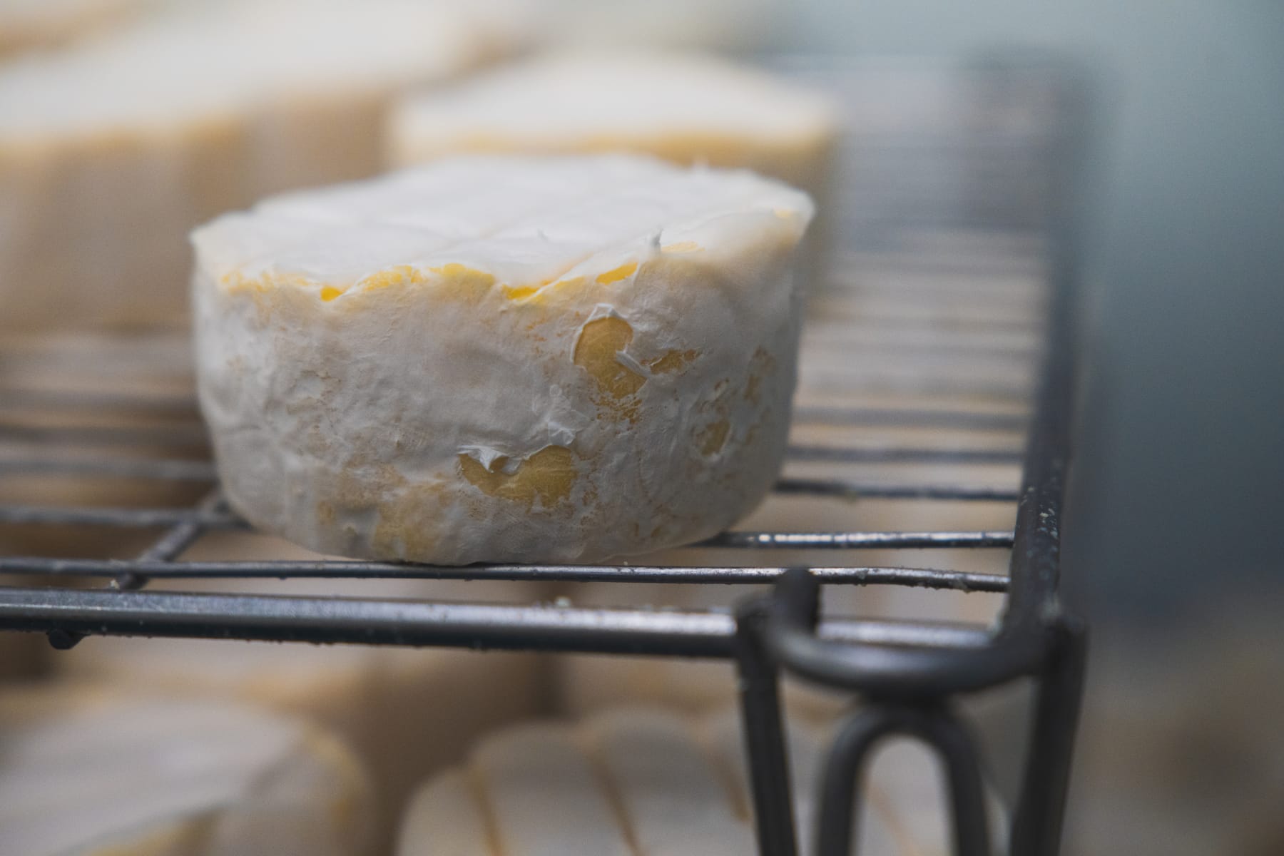 Village Maid Cheese project, photographed by Gregory Waite