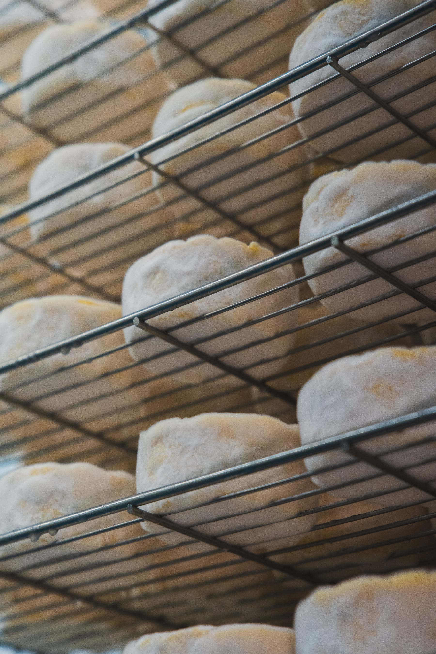 Village Maid Cheese project, photographed by Gregory Waite