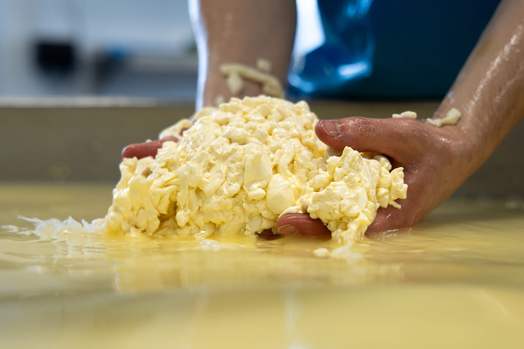 Village Maid Cheese project, photographed by Gregory Waite