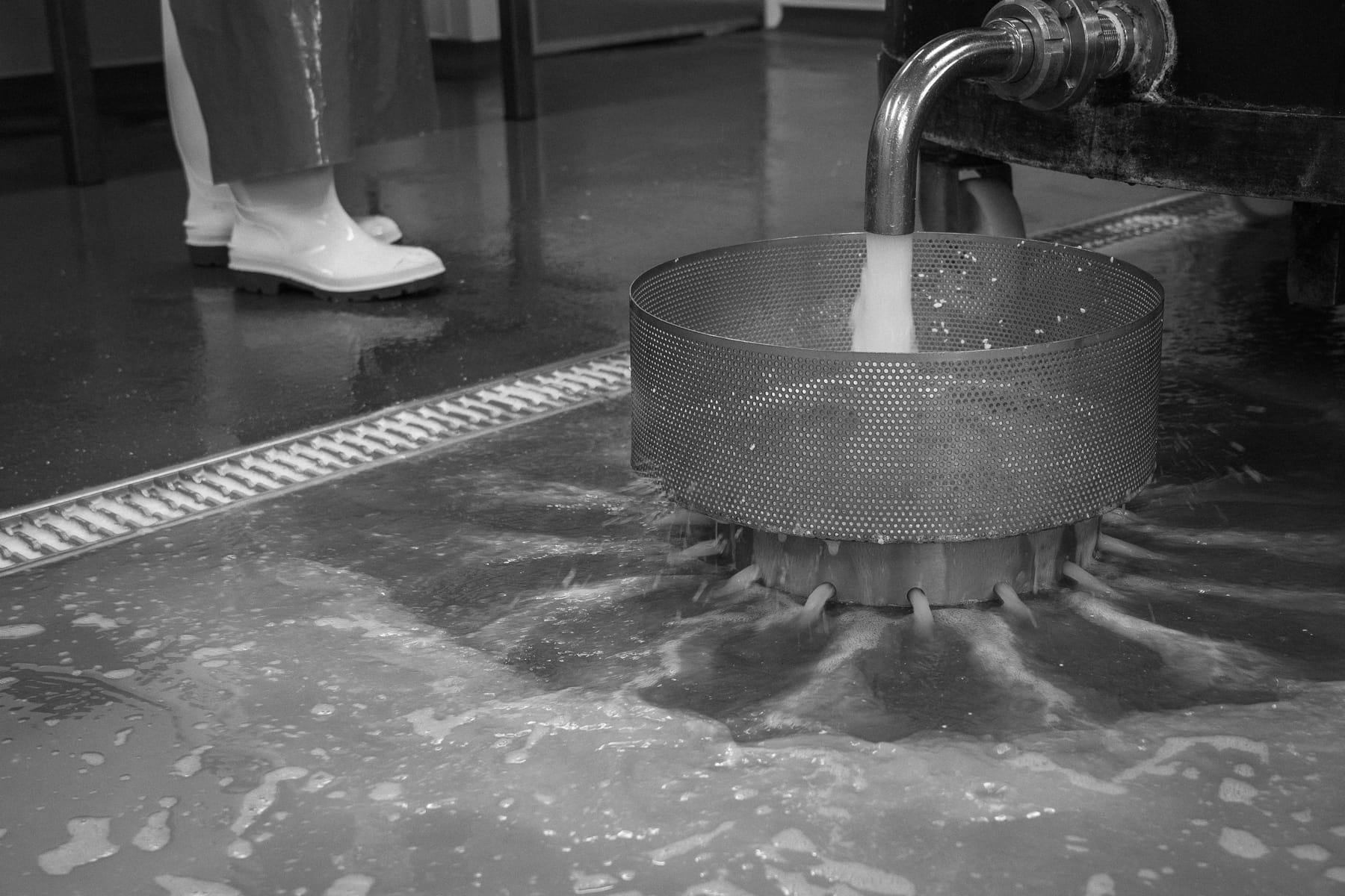 Village Maid Cheese project, photographed by Gregory Waite