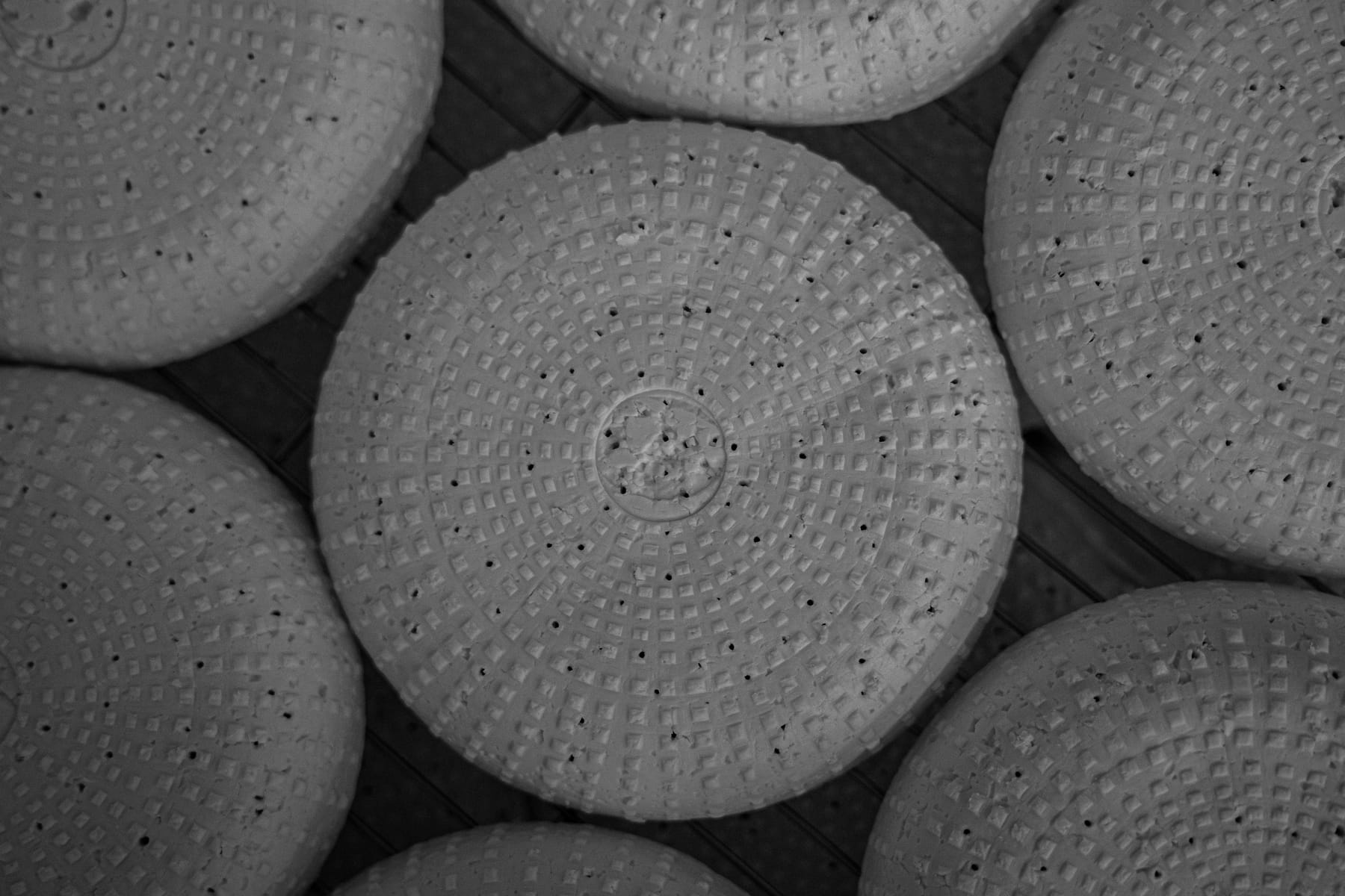 Village Maid Cheese project, photographed by Gregory Waite