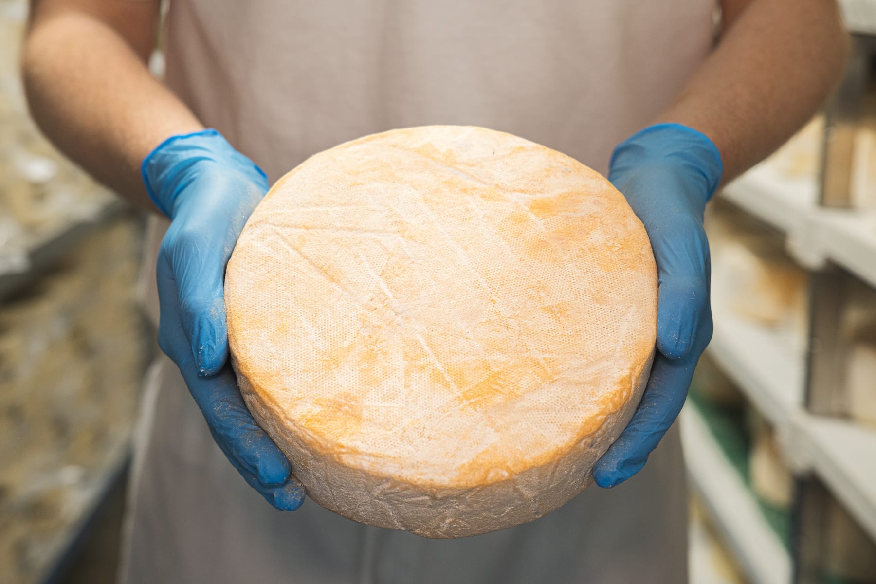 Village Maid Cheese project, photographed by Gregory Waite
