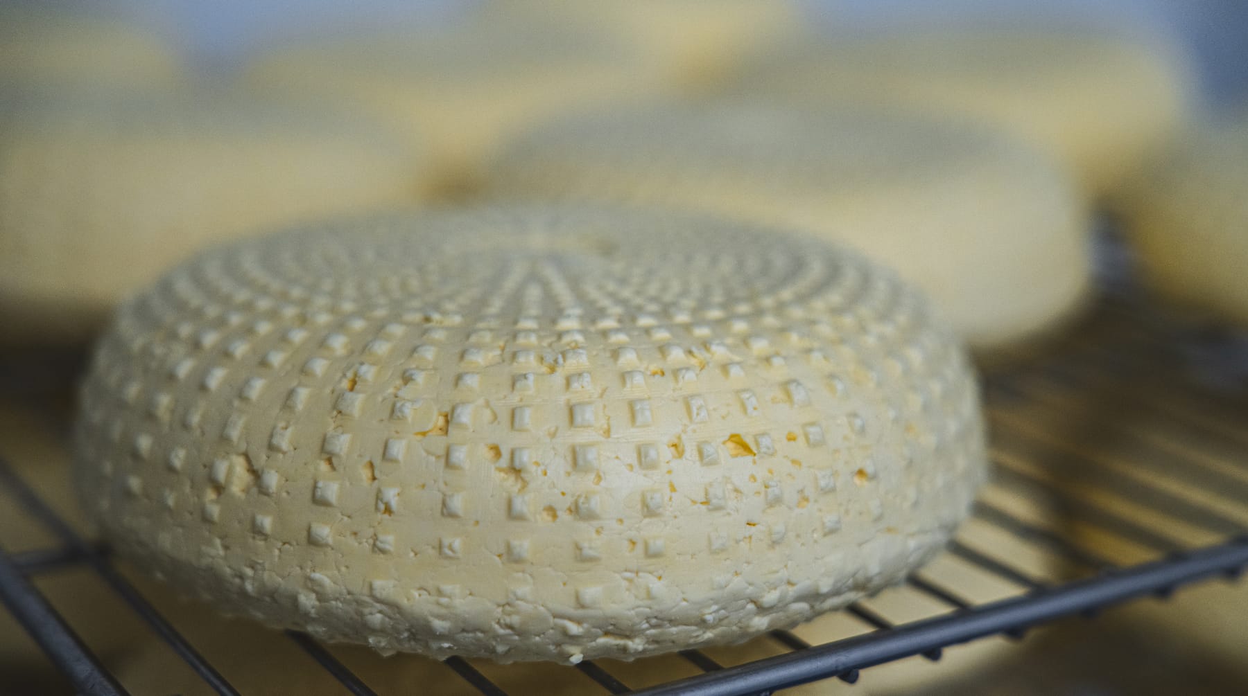 Village Maid Cheese project, photographed by Gregory Waite