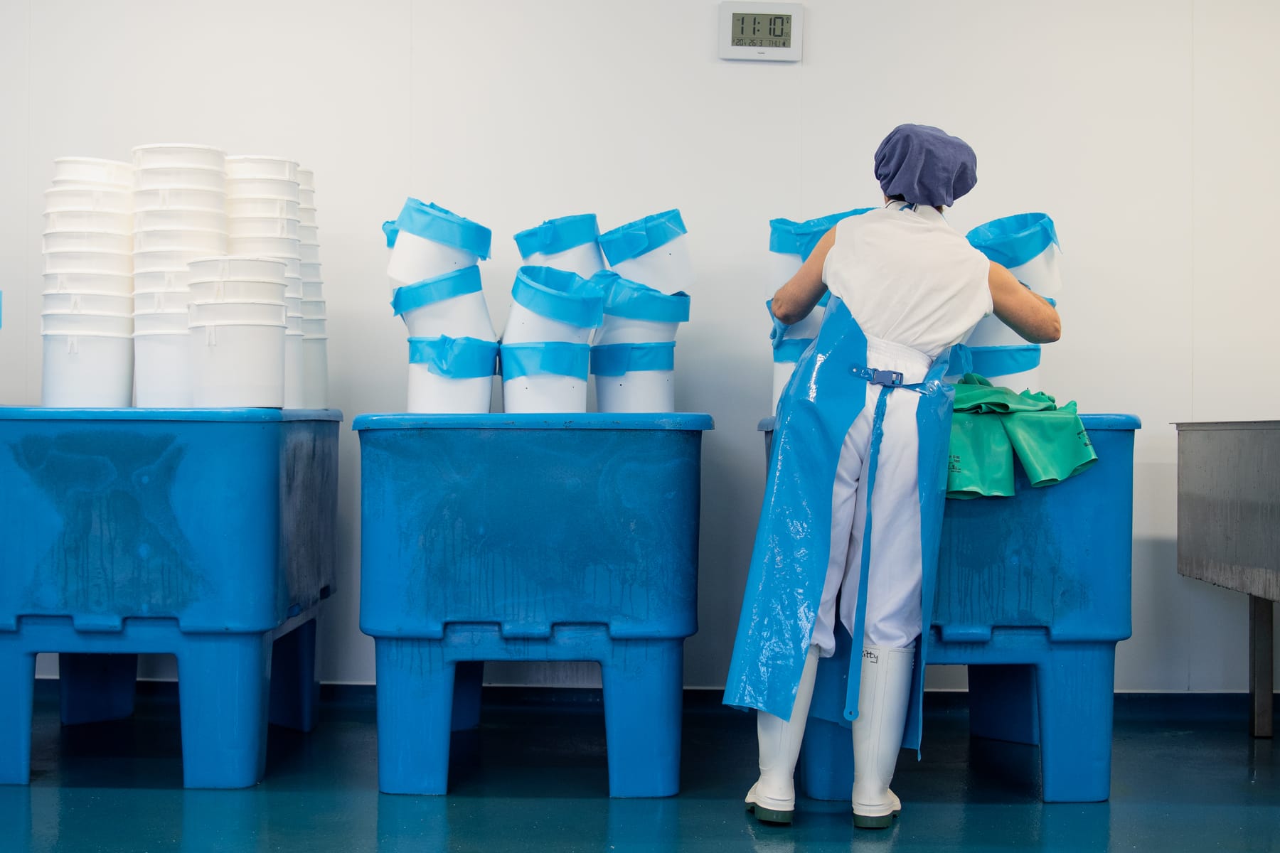 Village Maid Cheese project, photographed by Gregory Waite