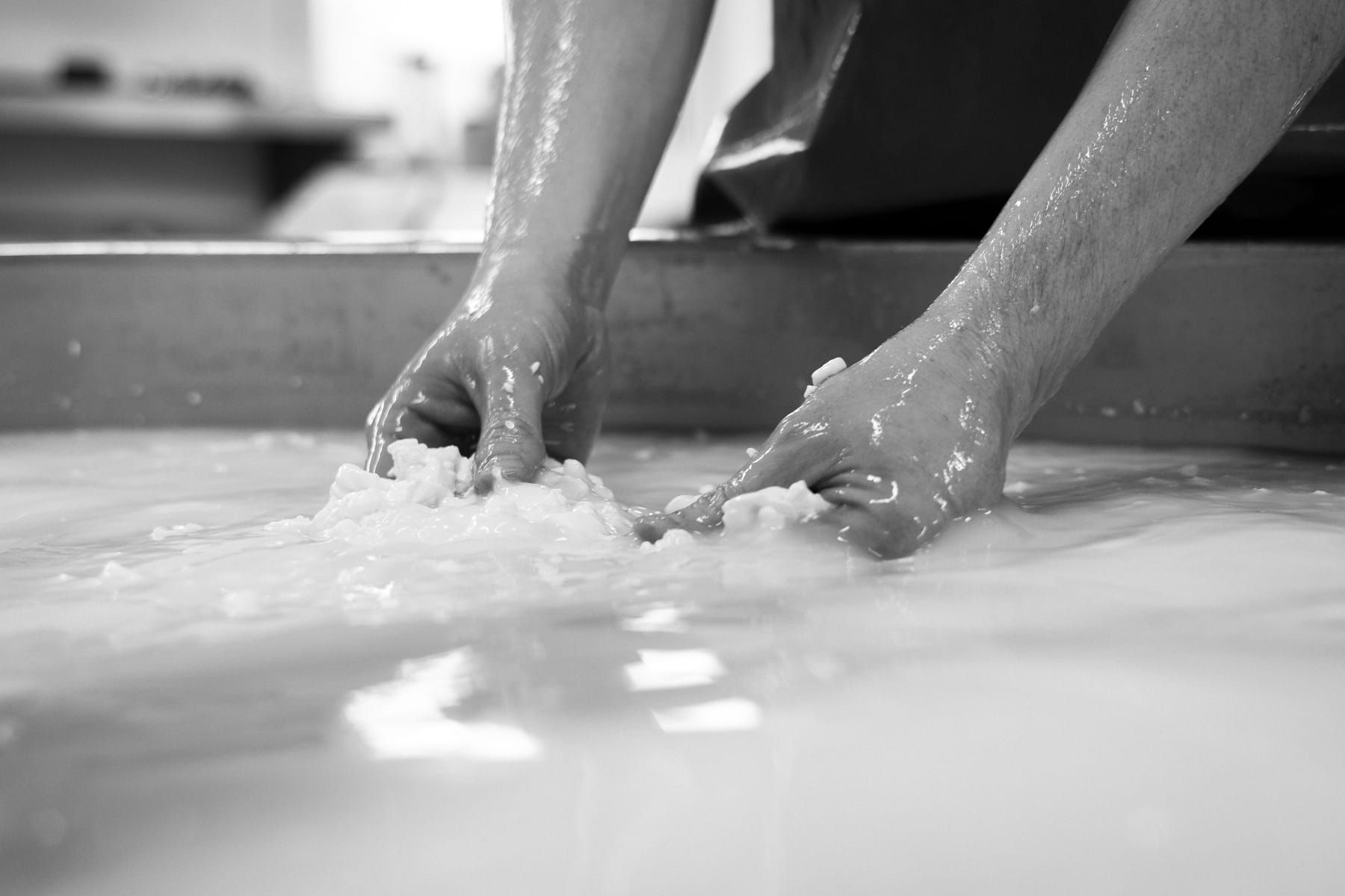 Village Maid Cheese project, photographed by Gregory Waite